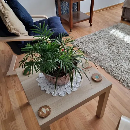 Chez Gladys * Chenac Saint Seurin d'Uzet