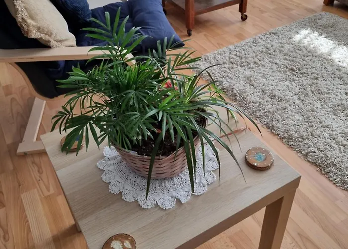 Chez Gladys * Chenac Saint Seurin d'Uzet